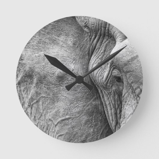 Horloge Ronde L'oeil d'un éléphant (Recto)