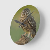 Horloge Ronde L'oiseau de hibou observe l'arbre (Angle)