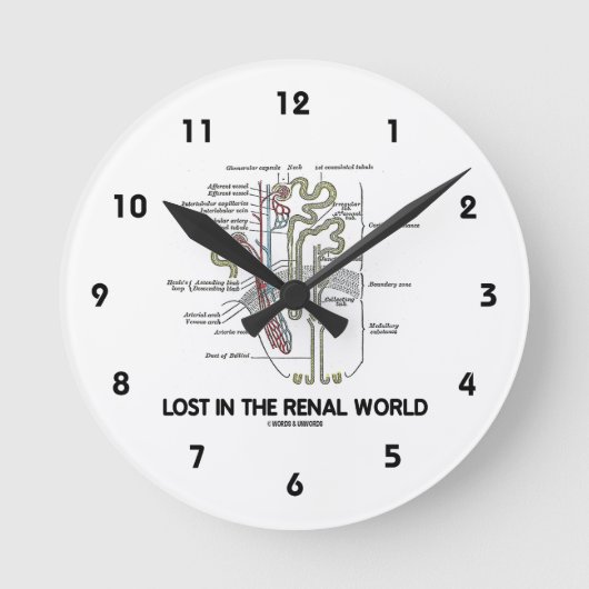 Horloge Ronde Lost In the Renal World (Recto)