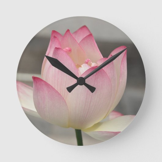 Horloge Ronde Lotus rose (Recto)