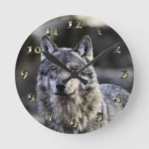 Horloge Ronde Loup gris