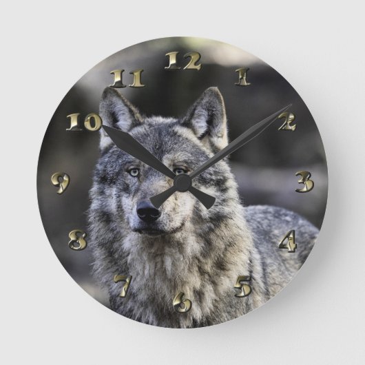 Horloge Ronde Loup gris (Recto)