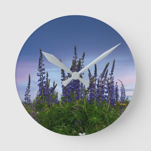 Horloge Ronde Lupins (Recto)
