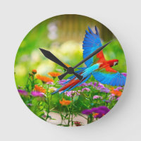 Macaw Parrot