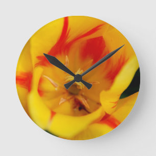 Horloge Ronde macro tulipe