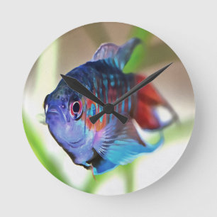 Horloge Ronde Macropodus Opercularis Aquarium Poisson