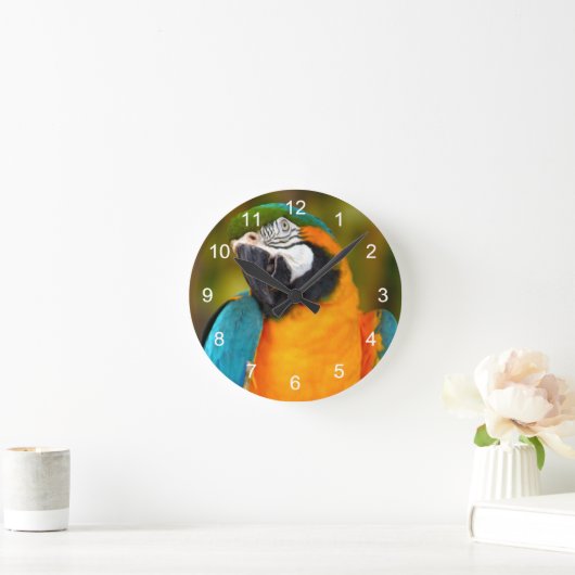 Horloge Ronde Majestic Macaw (Maison)