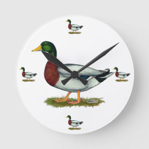 Horloge Ronde Mallard Duck Drake