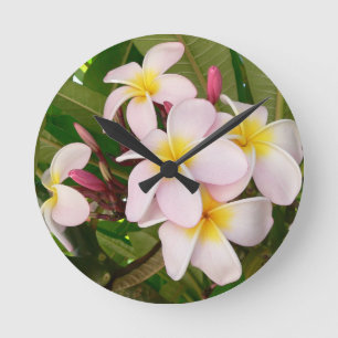 Horloge Ronde Mariage Hawaïen Fleurs de Frangipanière Shower de
