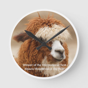 Horloge Ronde Meilleur Sourcil Unique d'Alpaca