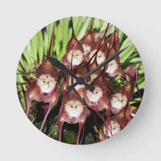 Horloge Ronde Miracles de la nature