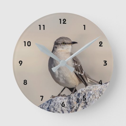 Horloge Ronde Mockingbird sur un rocher (Recto)
