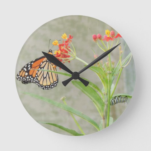 Horloge Ronde Monarch Butterfly et Caterpillar (Recto)