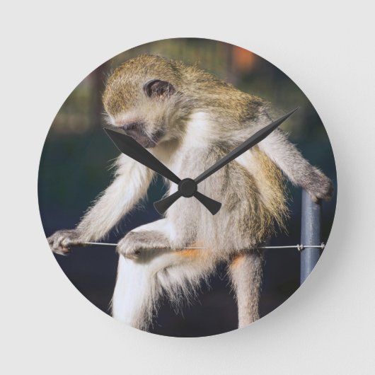 Horloge Ronde Monkey (Recto)