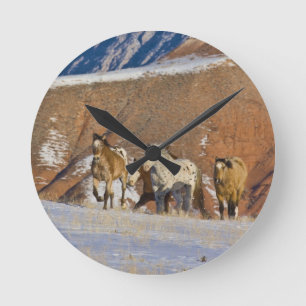Horloge Ronde Montagnes Big Horn, Chevaux courant