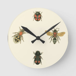 Horloge Ronde Mouches et scarabées par le studio de vision