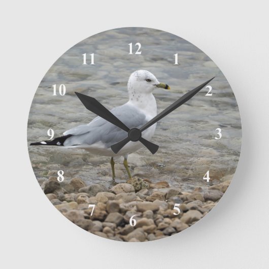 Horloge Ronde Mouette (Recto)