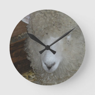 Horloge Ronde Moutons à la foire du comté