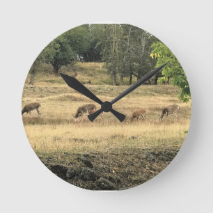 Horloge Ronde Mule Deer dans un champ