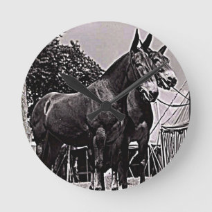 Horloge Ronde Mule du Missouri
