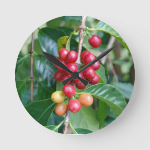 Horloge Ronde Mûrissement de cerises de café Kona, Hawaï
