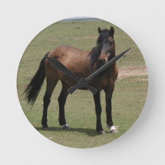 Horloge Ronde Nacoma Mustang (Recto)