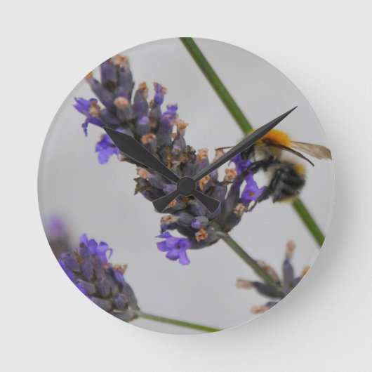 Horloge Ronde Natures de merveilleux travailleurs (Recto)