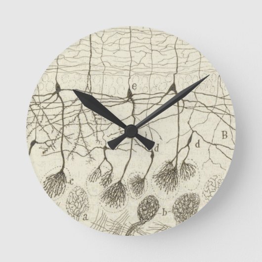 Horloge Ronde Neurons de Cajal 8 (Recto)