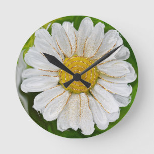 Horloge Ronde Nouveaux débuts - Puissance de fleur marguerite