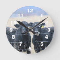 Observateurs de Bovine