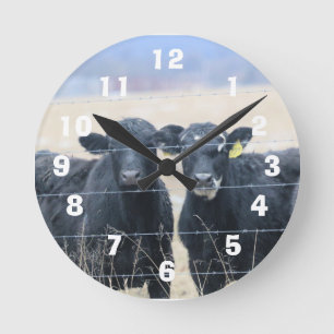 Horloge Ronde Observateurs de Bovine