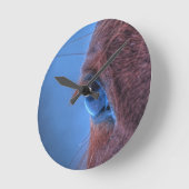 Horloge Ronde OEil de châtaignier équine Photo (Angle)