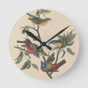 Horloge Ronde Oeuvre d'art vintage d'oiseau coloré de Audubon, B
