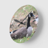 Horloge Ronde Oie (Angle)