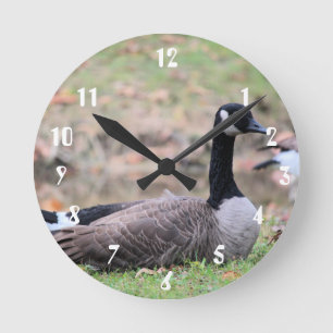 Horloge Ronde Oie