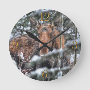 Horloge Ronde Oie canadienne sauvage en forêt d'hiver