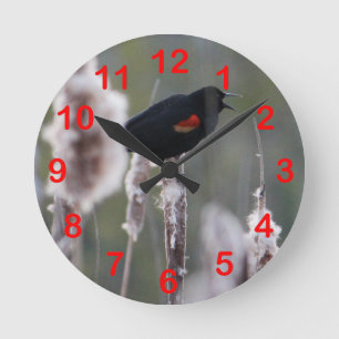 Horloge Ronde Oiseau à ailes rouges (Agelaius phoeniceus)
