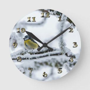 Horloge Ronde Oiseau bleu Tit perché sur une branche de neige