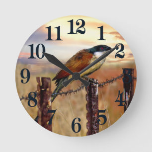 Horloge Ronde Oiseau de coucou de Coucal de Burchell