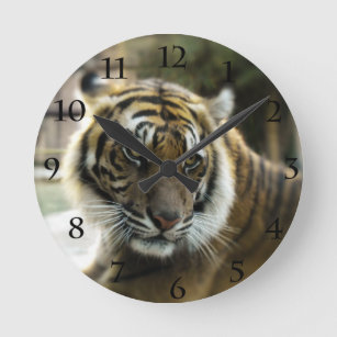 Horloge Ronde Orange à rayures noires Bengale photo tigre