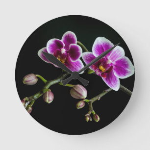 Horloge Ronde Orchidée rose blanc couleur sur noir pâle doux