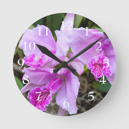 Horloge Ronde Orchidées en fleurs (Recto)