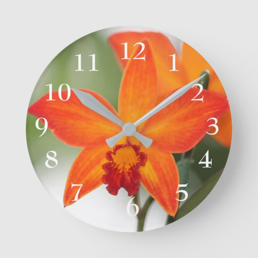 Horloge Ronde Orchidées tropicales (Recto)