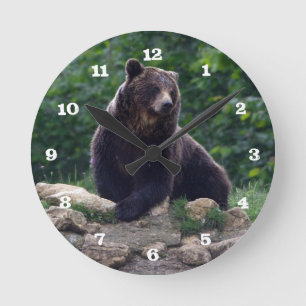 Horloge Ronde Ours Brown