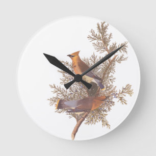 Horloge Ronde Paires d'oiseau de jaseur de cèdre d'Audubon sur