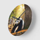 Horloge Ronde Panda in Thought – Peaceful Tree-Side Reflection T (Angle)