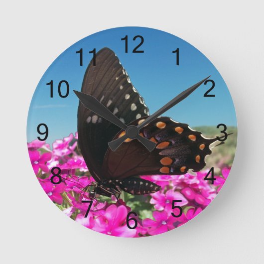Horloge Ronde Papillon épicebush (Recto)