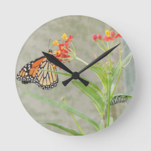 Horloge Ronde Papillon et Caterpillar de monarque