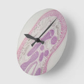 Horloge Ronde Parasitic nematode worm (Ascaris sp.) (Angle)