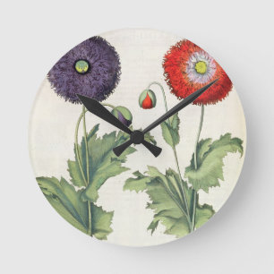 Horloge Ronde Pavots : incarnato de multiplici du flore